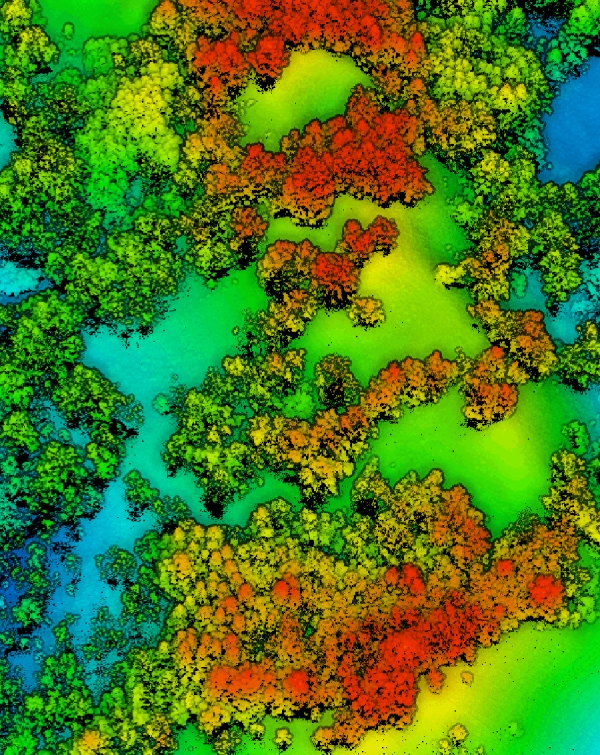 Airborne LiDAR